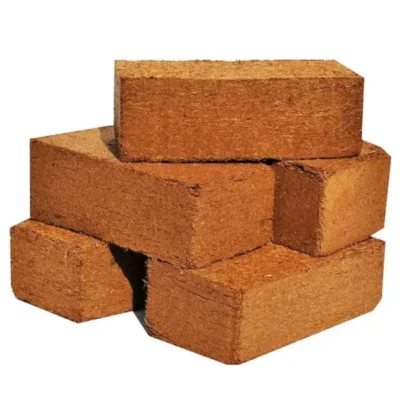 coco peat bricks