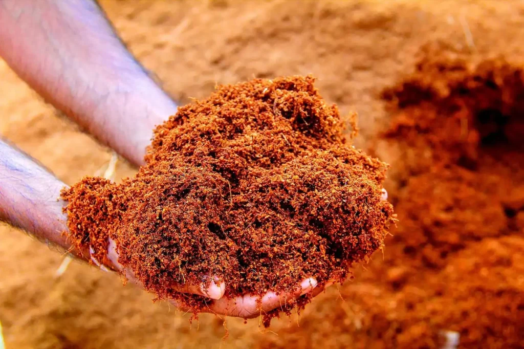 coir soil product